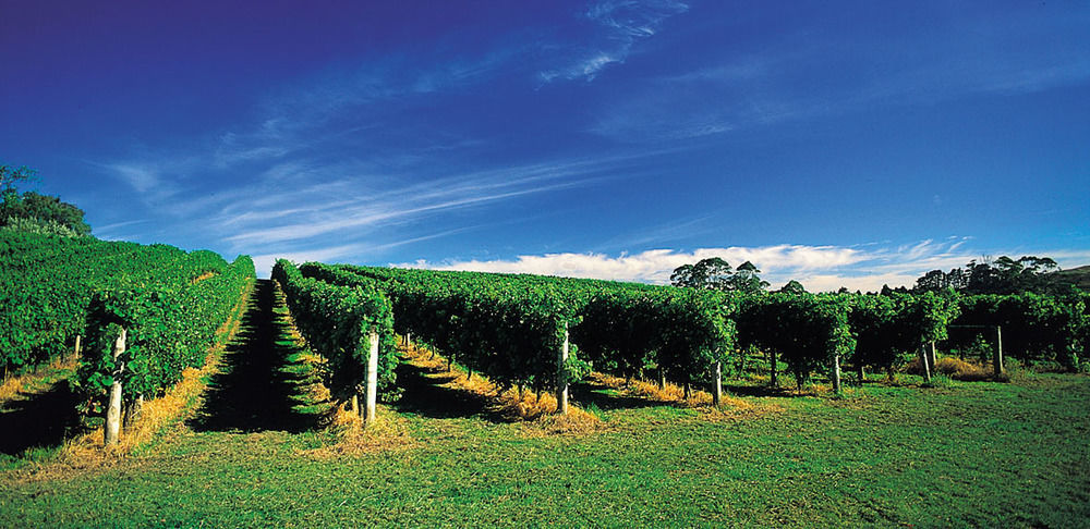 Vineyard Cottages - Kumeu Waimauku Exteriér fotografie