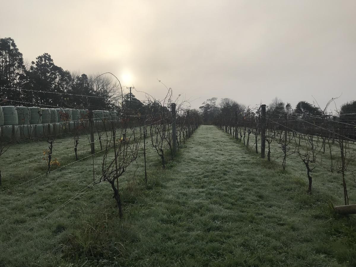 Vineyard Cottages - Kumeu Waimauku Exteriér fotografie